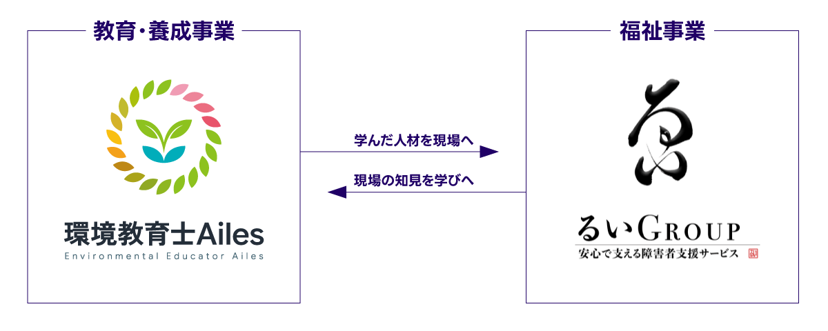 Ailes(教育・養成)が学んだ人材をるいグループ(福祉)へ送り、福祉の現場の知見が教育へフィードバックされる循環図